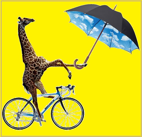 MoMA - Sky umbrella - screen-printed and original design by Tibor Kalman