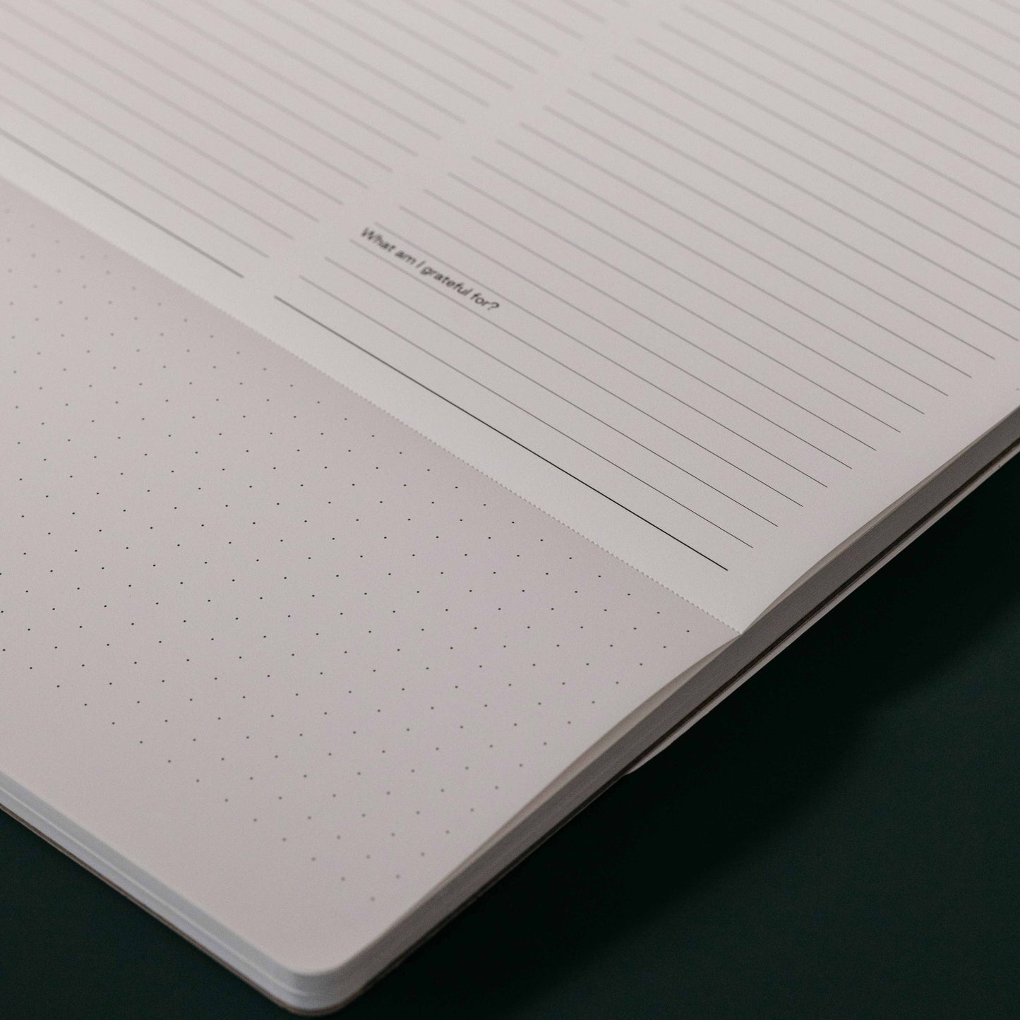 Karst - Papier de pierre - Bloc-notes « Daily Action » A4 - NOUVEAU !