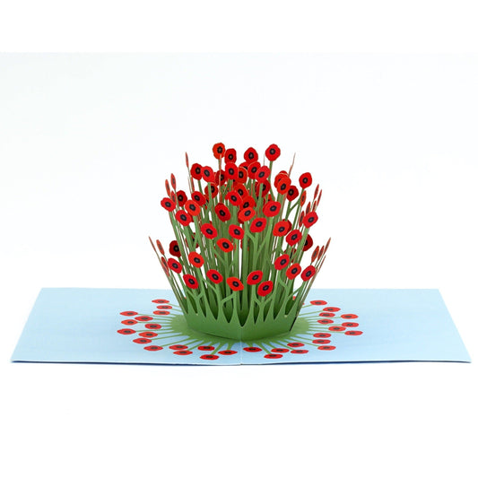 Cartes pop-up IC Design - Blooming Poppies