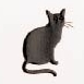 Yamazakura - Cashico - embossed mini card - black cat