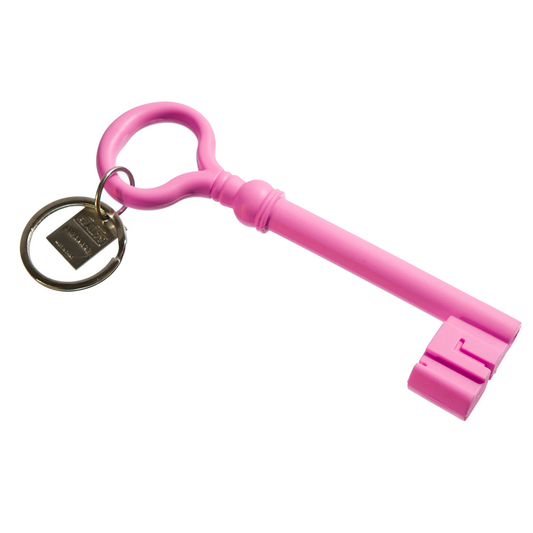 Harry Allen keychain key pink